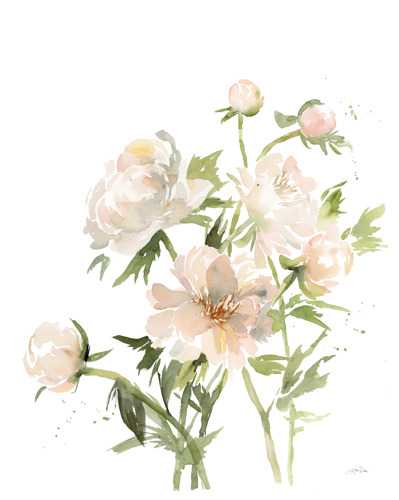 Peonies 2