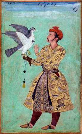 Prince and Falcon
