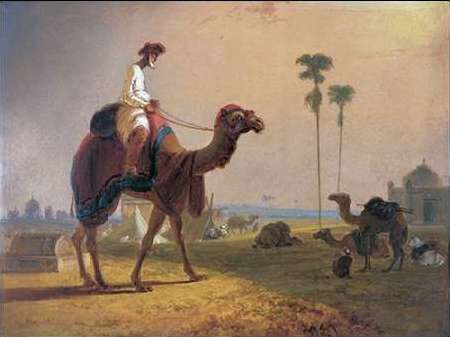 Camel and Rider