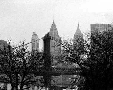 Bridges of NYC 5