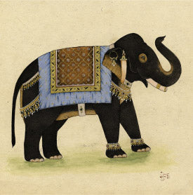 Elephant from India 1