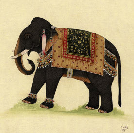 Elephant from India 2