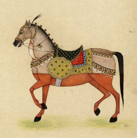 Horse from India 1