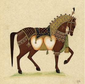 Horse from India 2
