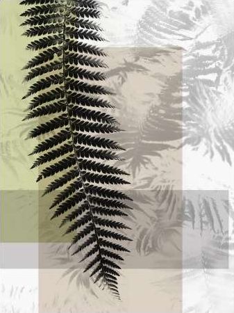 Plantation III