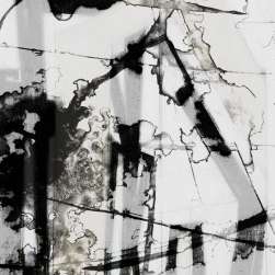 In Motion 2