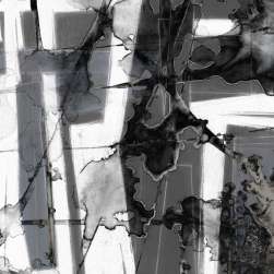 In Motion 4