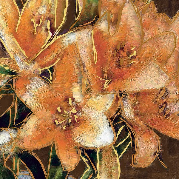 Apricot Dream 1