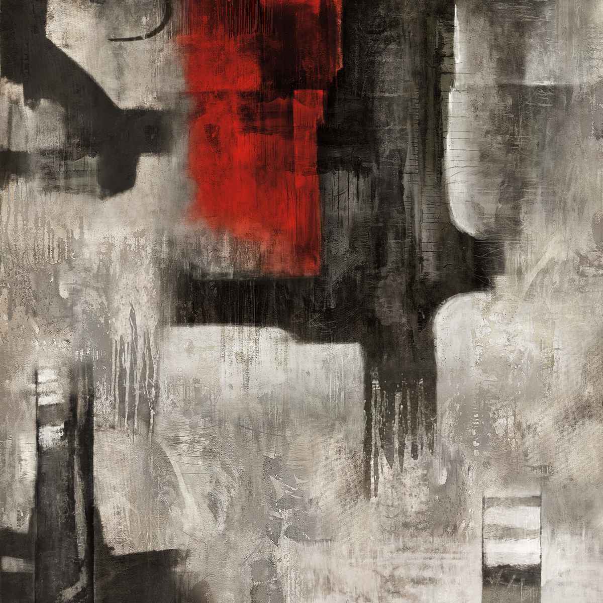 Singular Vision