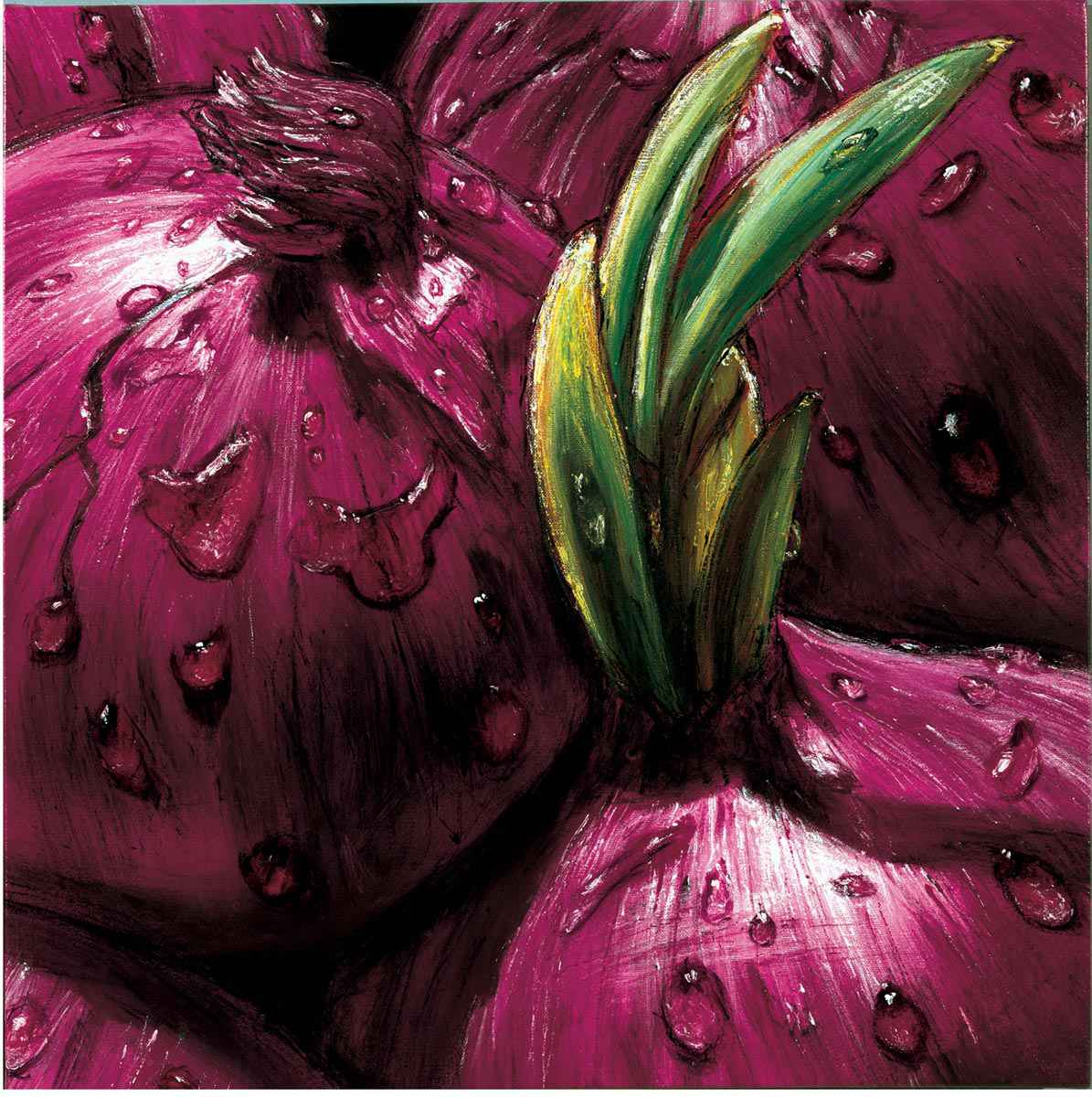 Onions