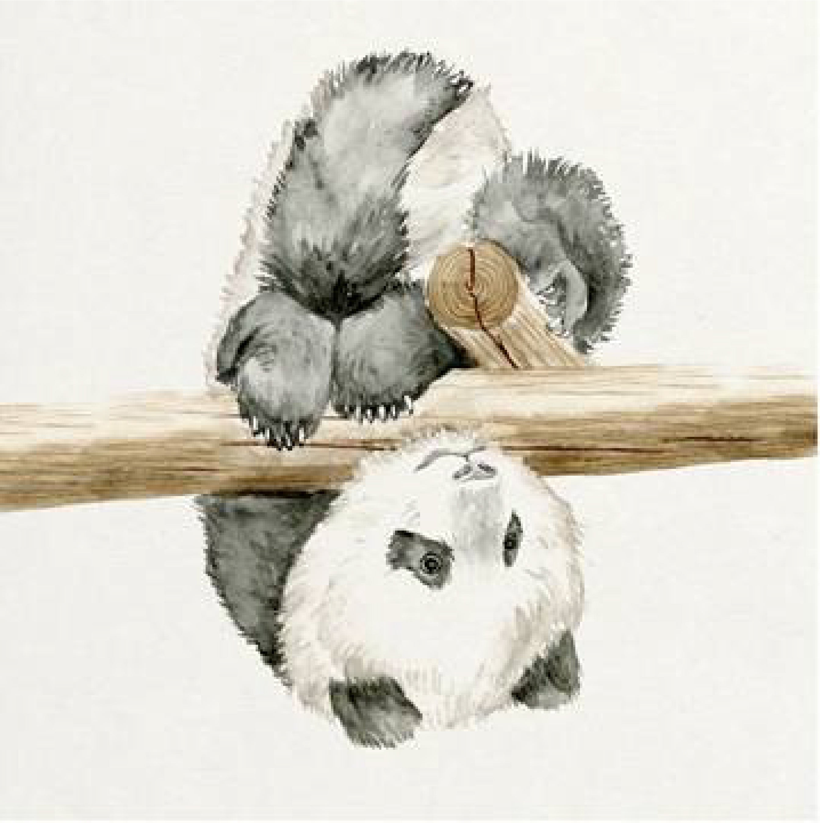 Baby Panda 2