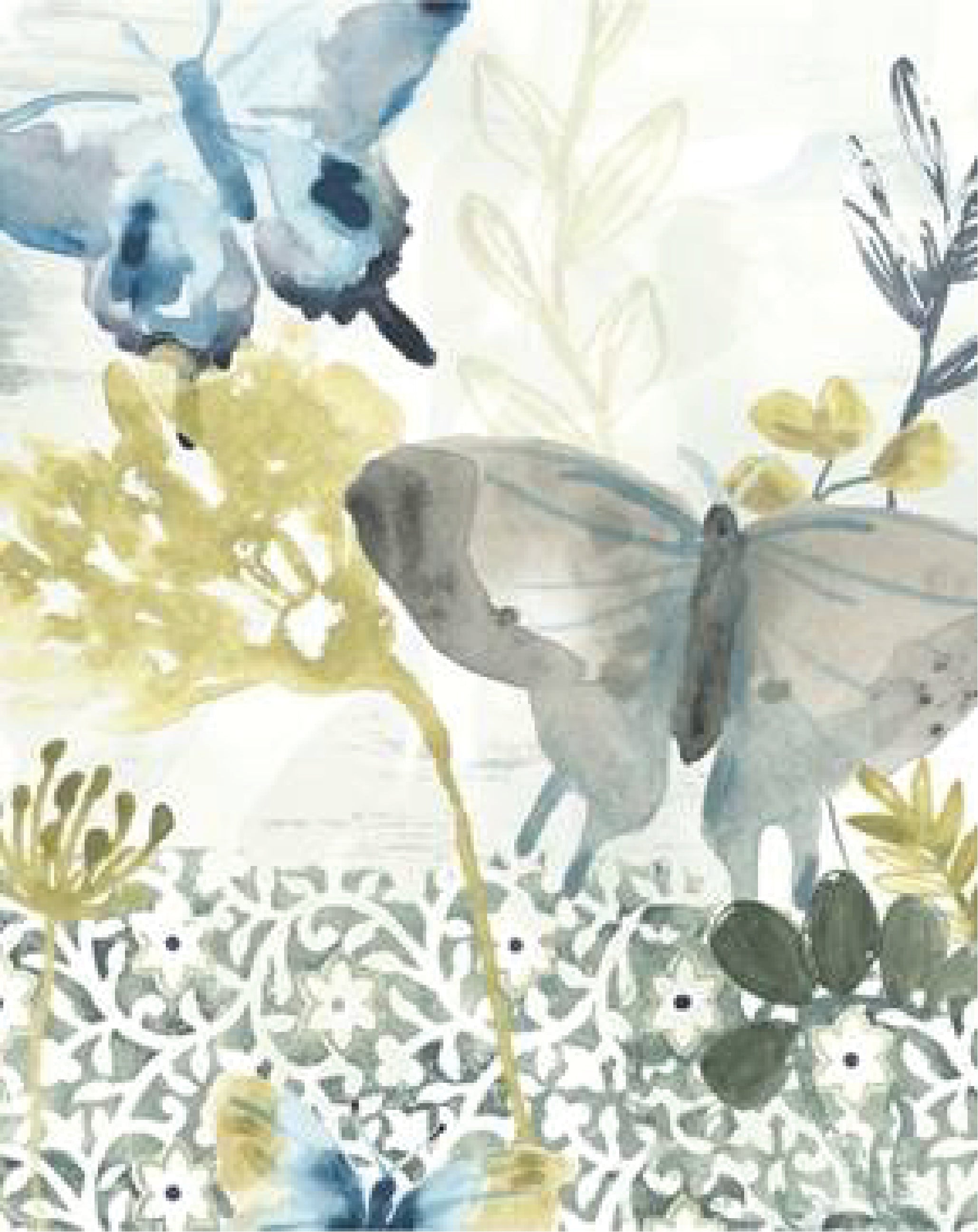 Butterfly Concerto 1