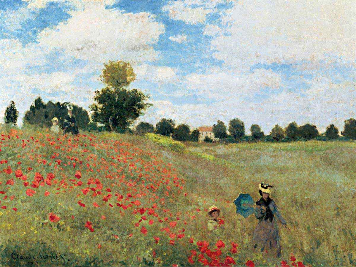 Coquelicots
