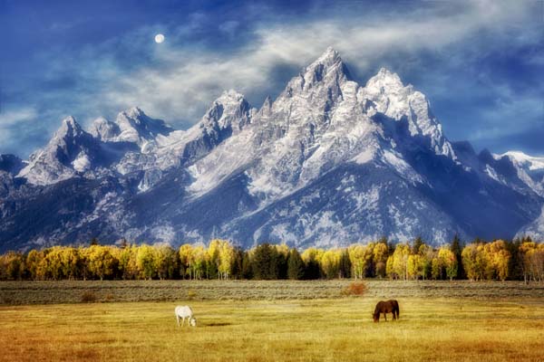 Green Pastures and Mountain