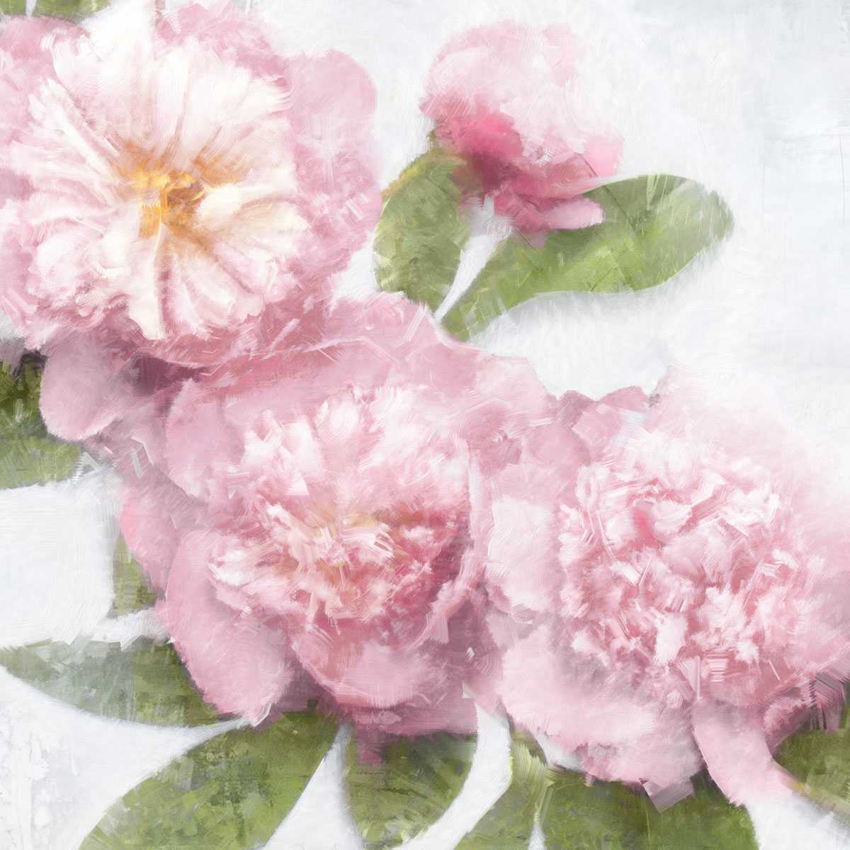 Pink Bloom 1