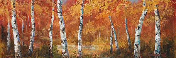 Autumn Birch 1