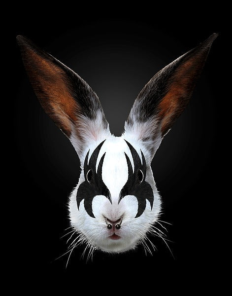 Rabbit Rocks