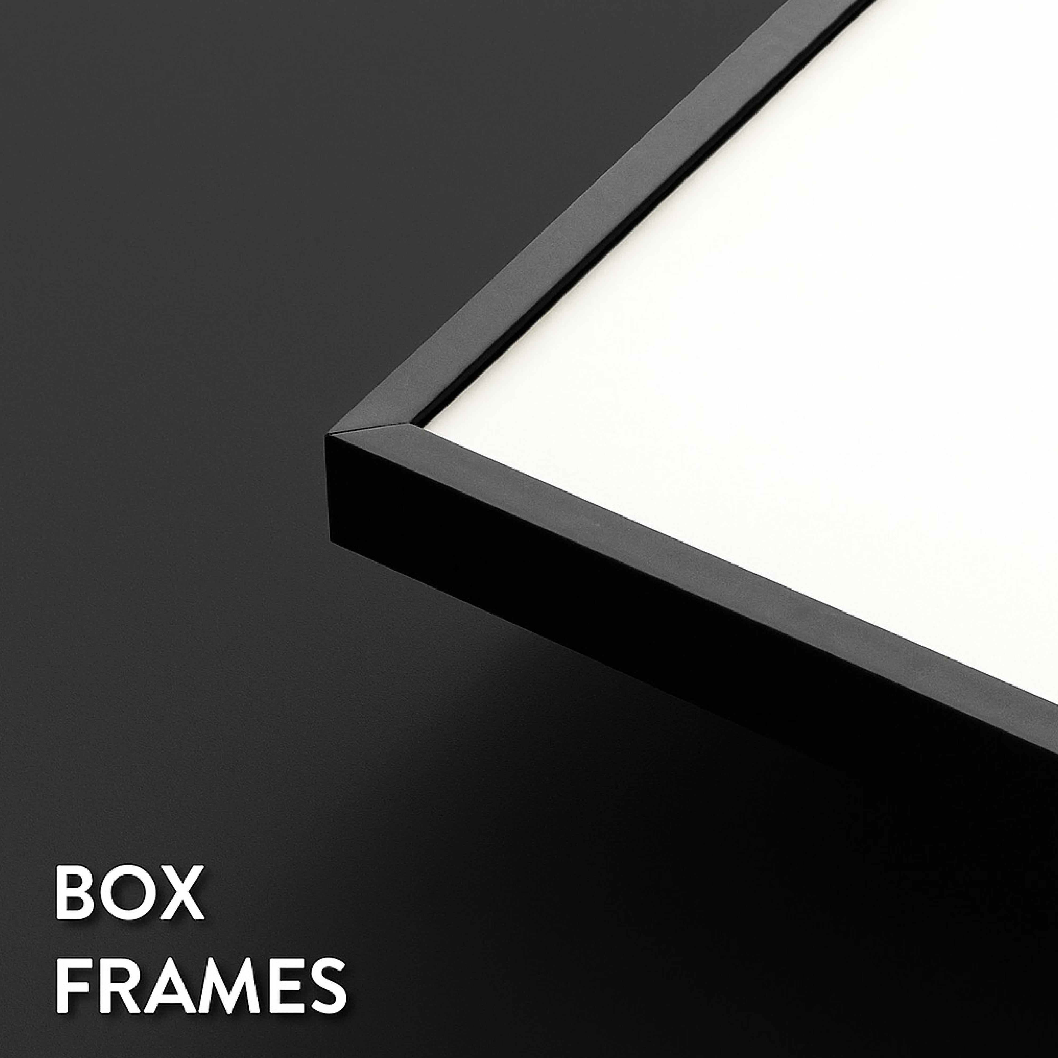 Desert Blooms Pattern 5