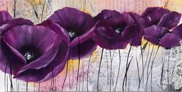 Pavot violet 1