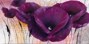 Pavot violet 2