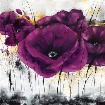 Pavot violet 3
