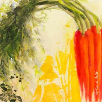 Carottes 1