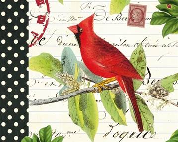 Cardinal