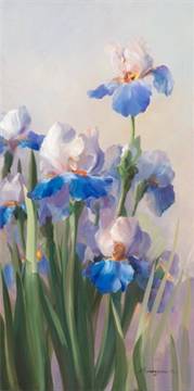 Iris French Cancan