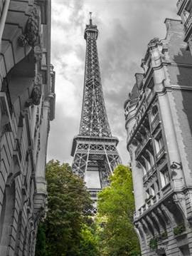 Paris my Love