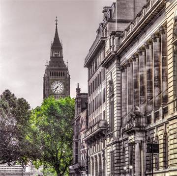 London Tree