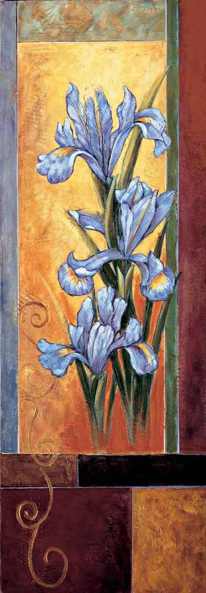 Iris