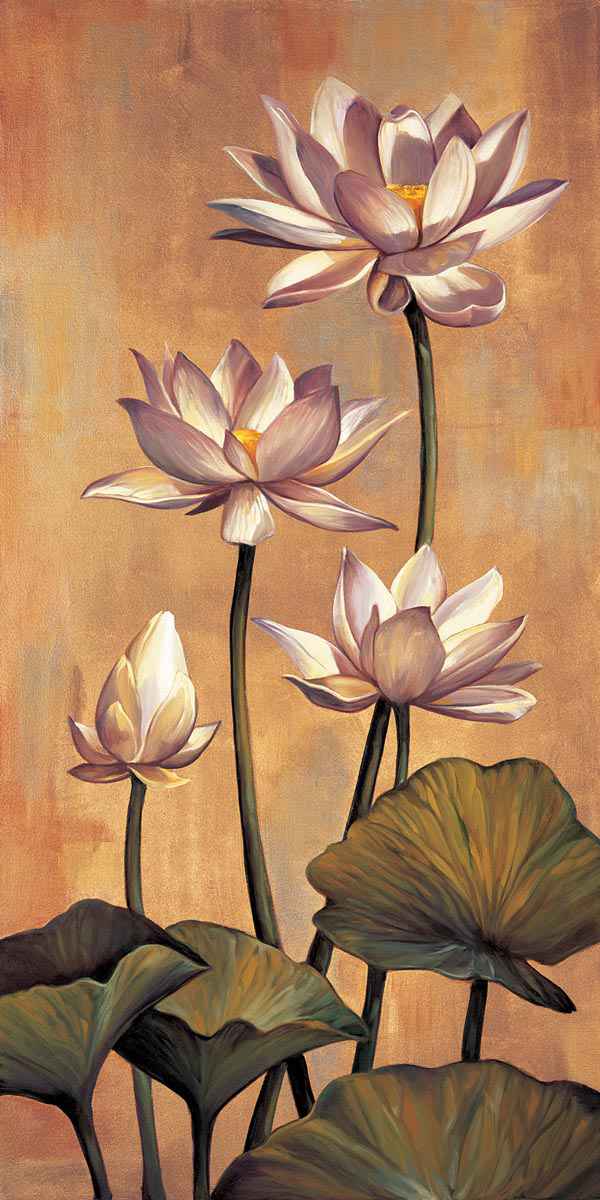White Lotus