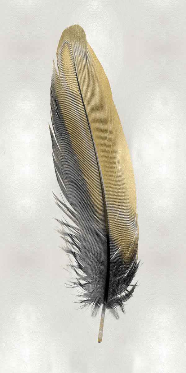 Gold Feather on Silver 1