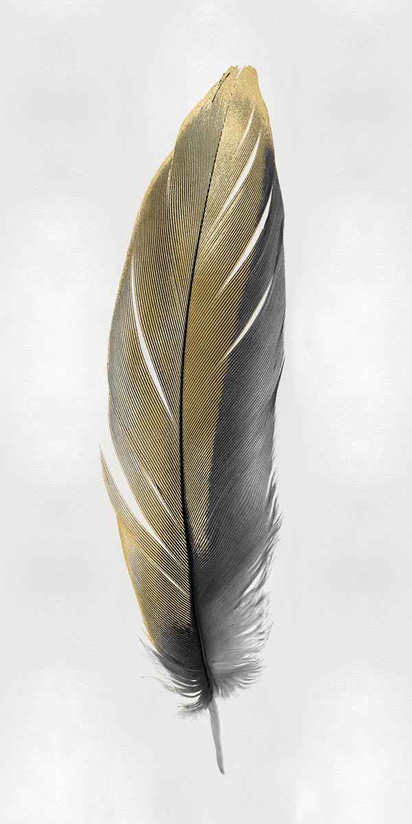 Gold Feather on Silver 2