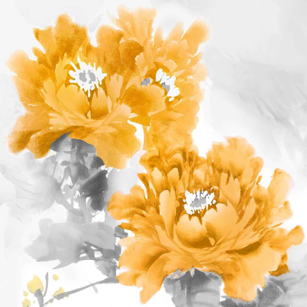Flower Bloom in Mandarin 2