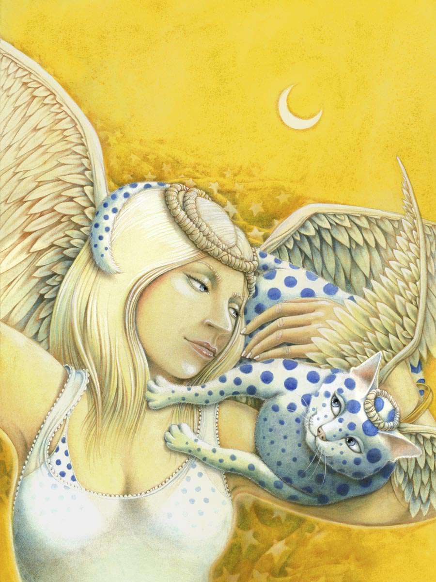 Days in the Nine Lives of an A