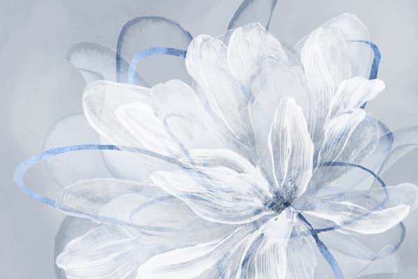 Petals in Tranquil Hues