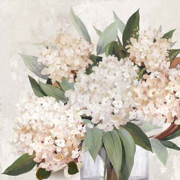 Blossoming Hydrangeas in Gentle Light