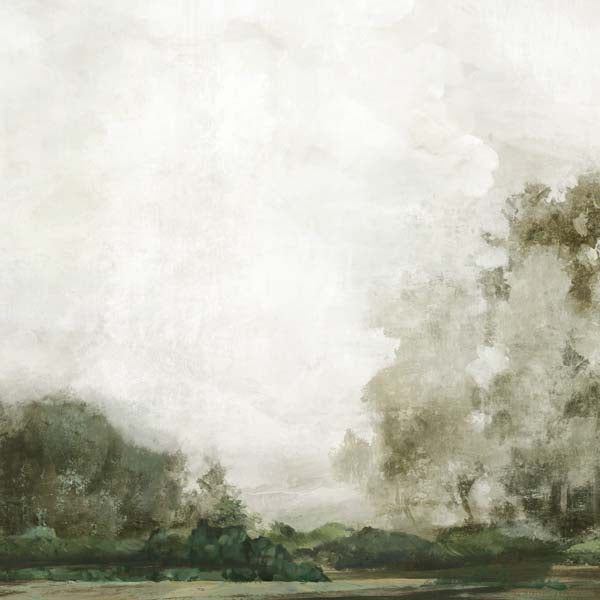 Misty Morning Over the Trees