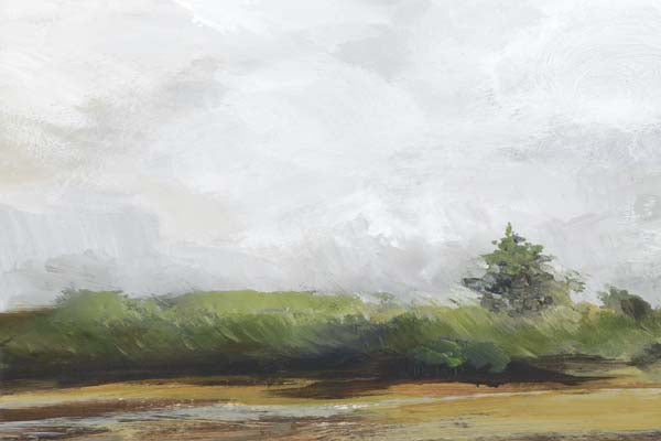 Lone Tree Under Overcast Sky