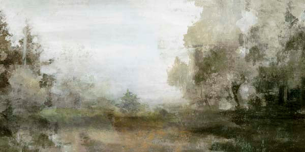 Misty Forest Morning Silence