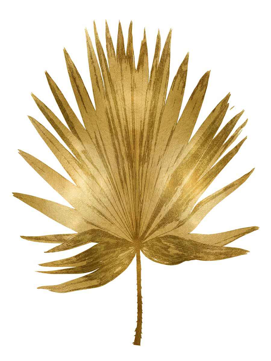 Gold Palm 4