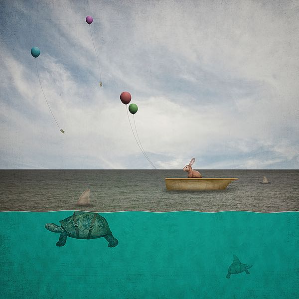 There’s Sharks in these Waters