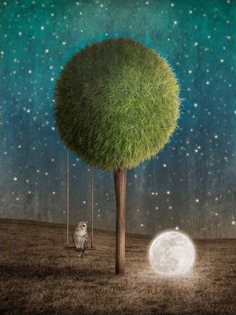 Tappy and the Moon
