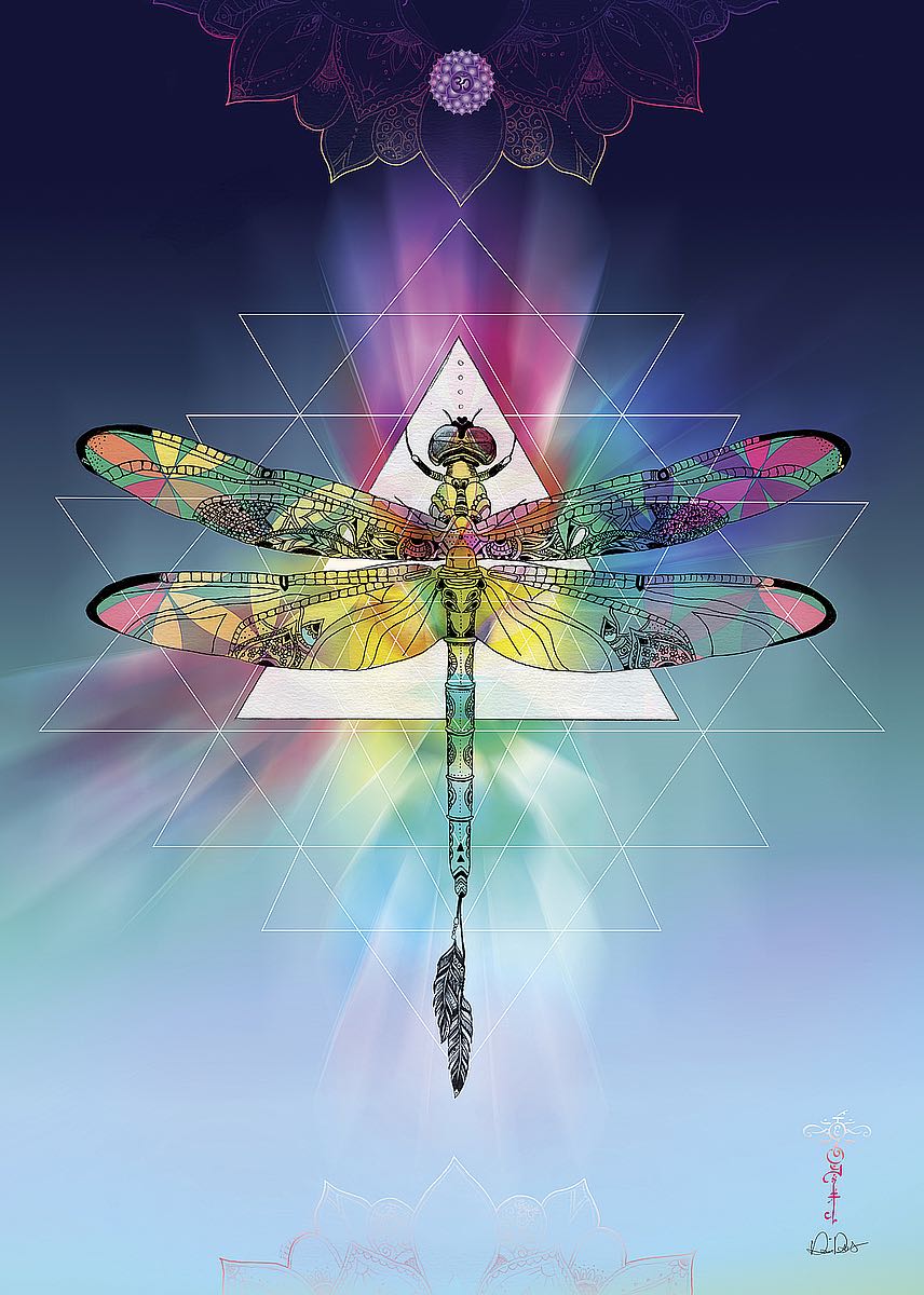 Cosmic Dragonfly