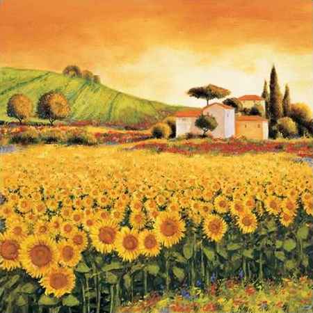 Valley of Sunflowers