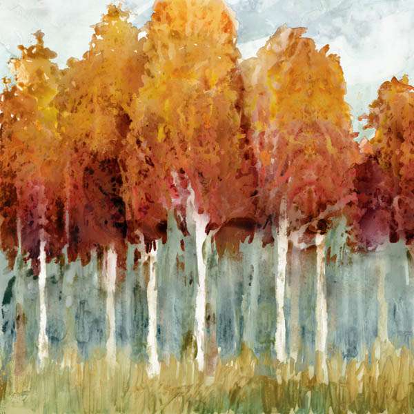 Birch 1