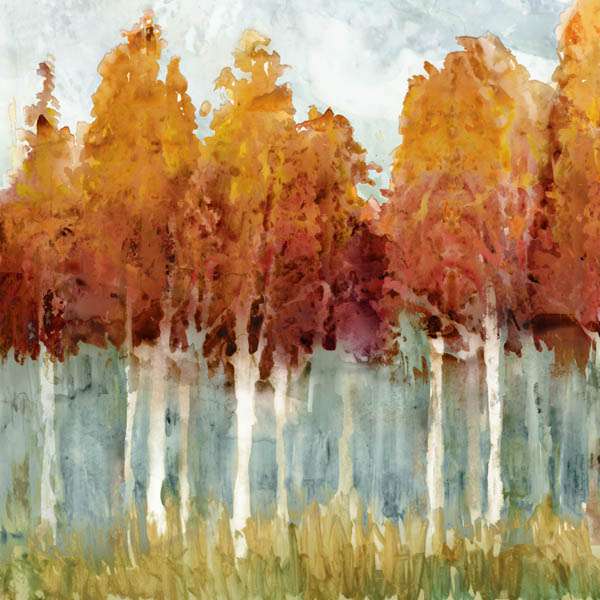 Birch 2