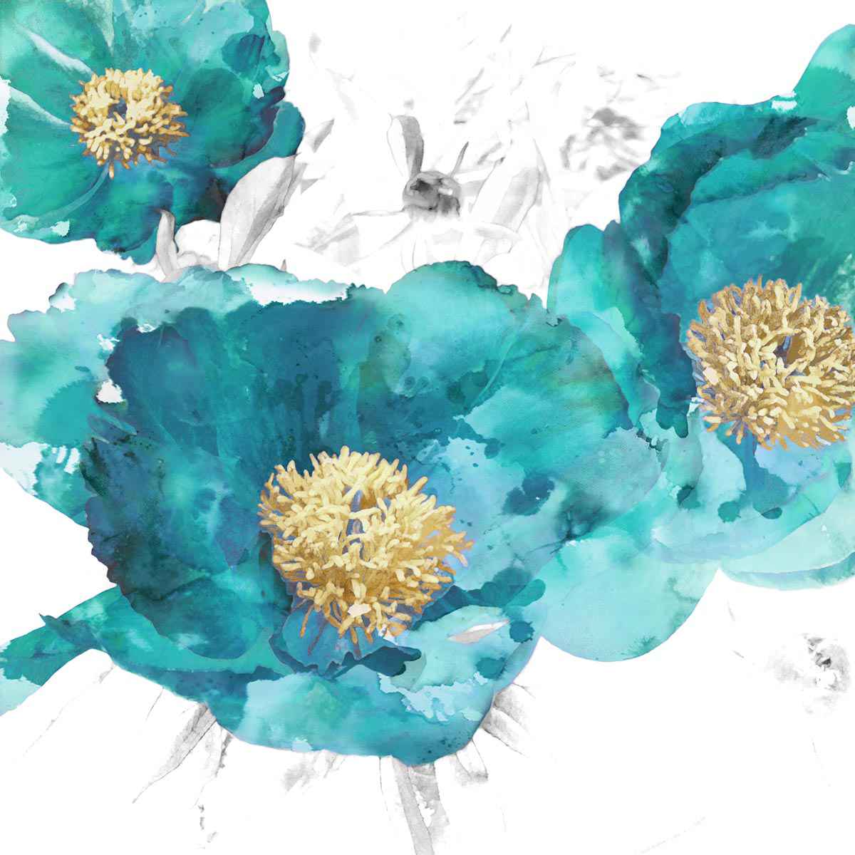 Aqua Trio 1
