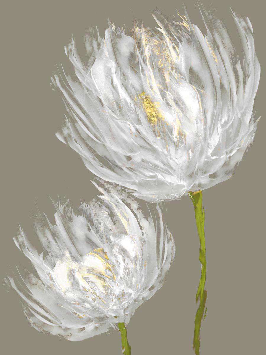 White Tulips 2